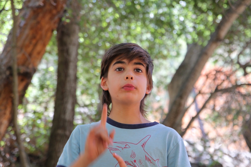 Pinnacles National Park